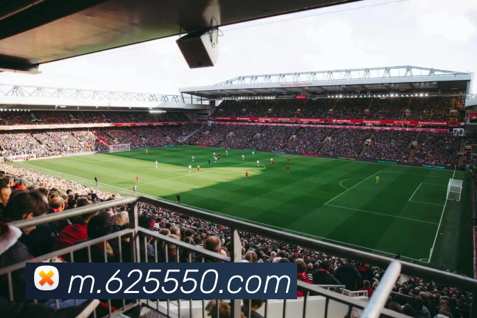 必威体育平台生态图